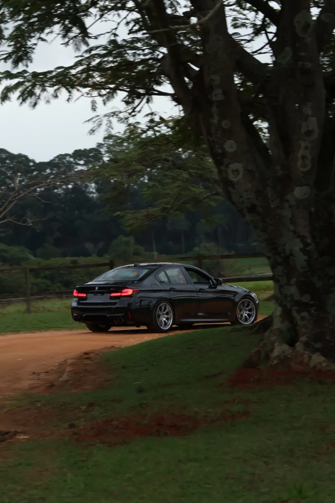 BMW M5 preto sob uma árvore na estrada de terra